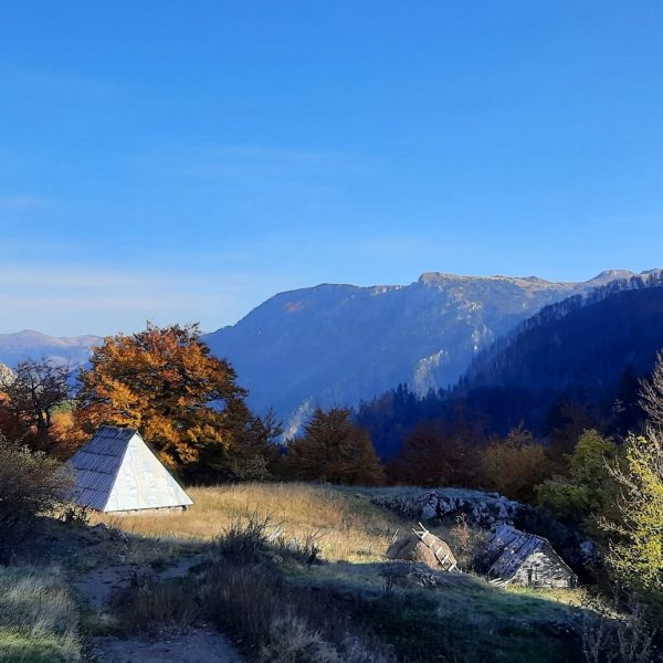 20211027_155130cr
