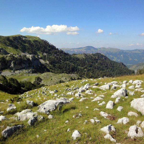 montenegro2010-224